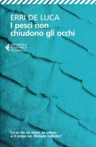 Erri de Luca - I pesci non chiudono gli occhi